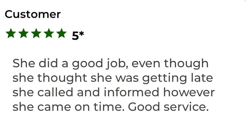 5-star customer review about punctual and good service